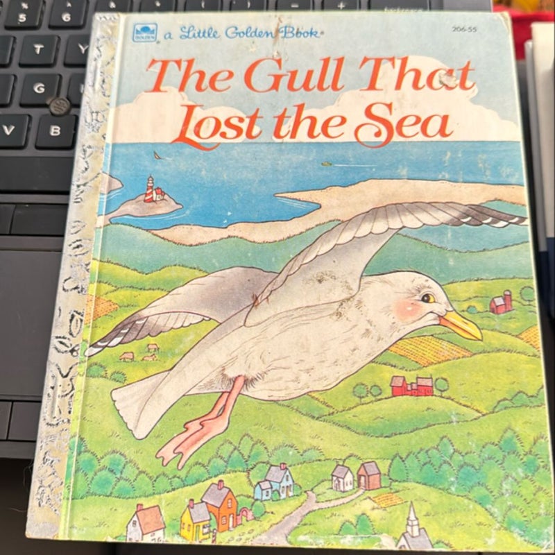 The Gull That Lost the Sea