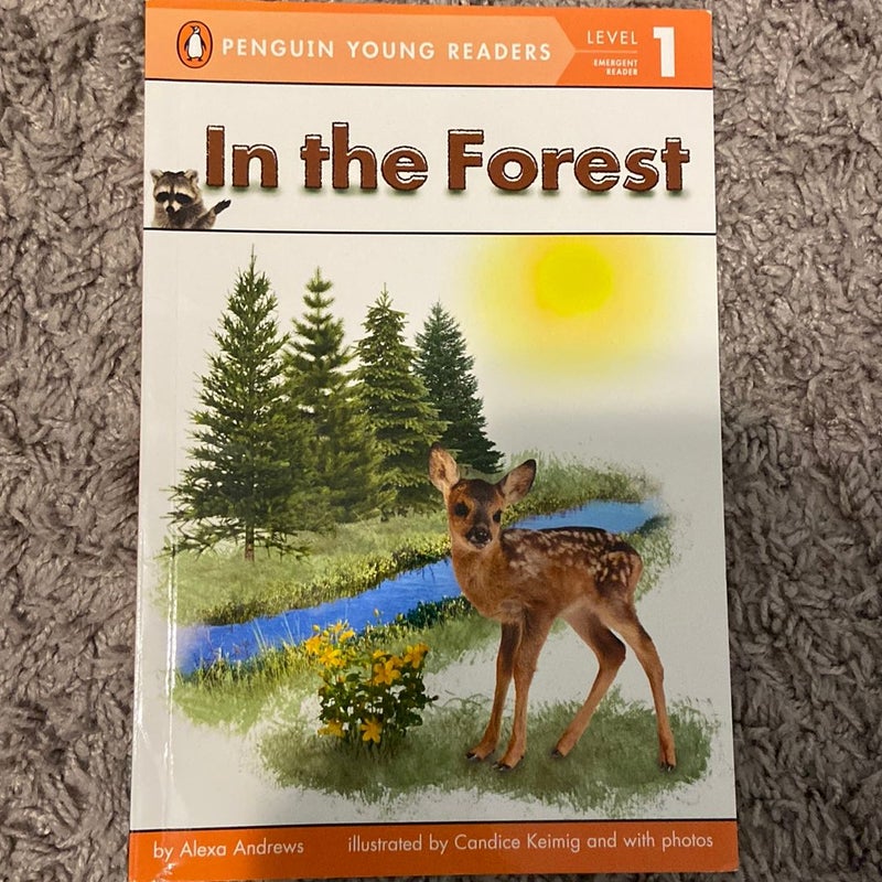 In the Forest