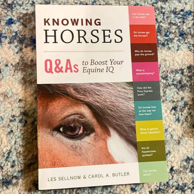 Knowing Horses