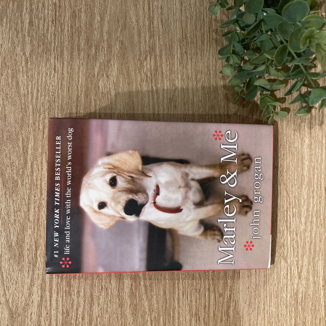 Sale image for 9b84cbfb-5bc4-47c2-af84-eac793482eea-cqWl9L6prMYsdWZuBcjW6TqJ5gs2