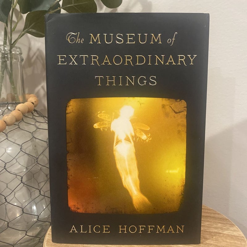 The Museum of Extraordinary Things