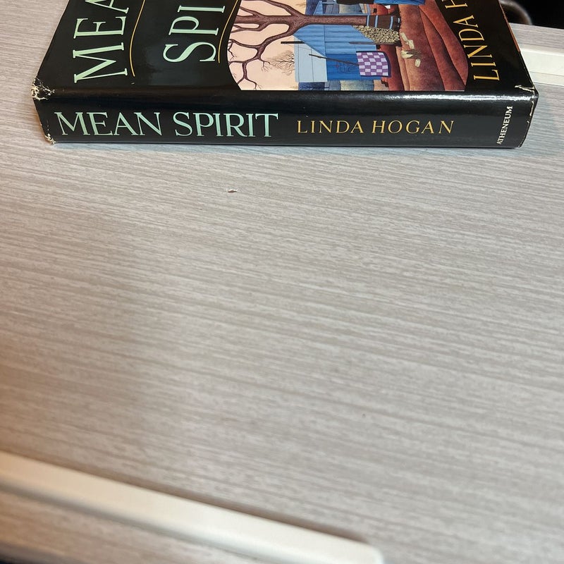 Mean Spirit