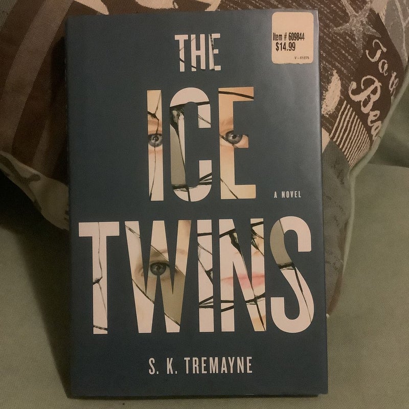 The Ice Twins