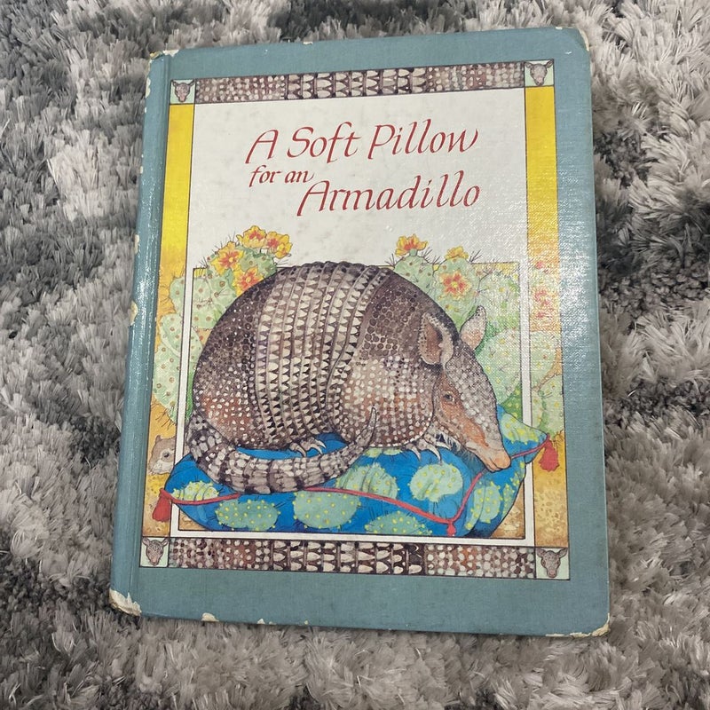 A Soft Pillow for an Armadillo