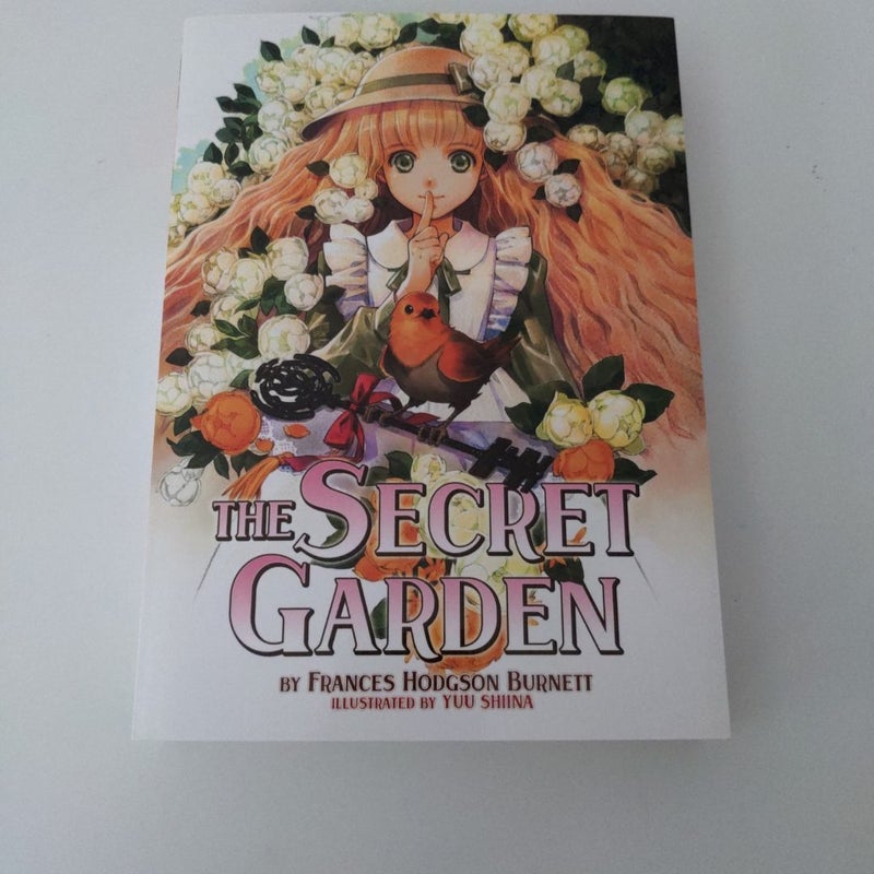 The Secret Garden (Illustrated Novel)