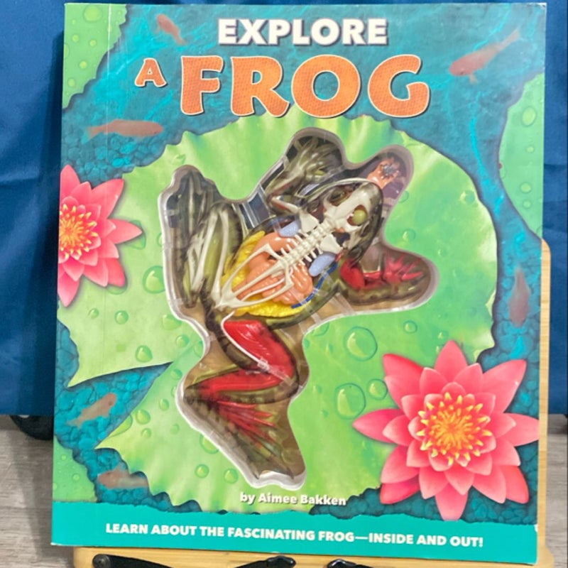 Explore a Frog