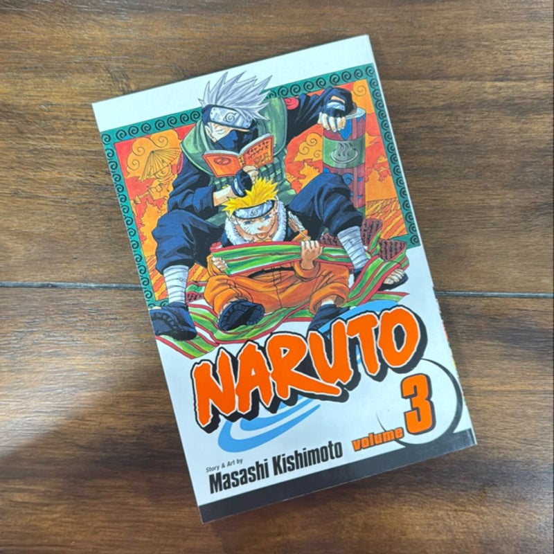 Naruto, Vol. 3