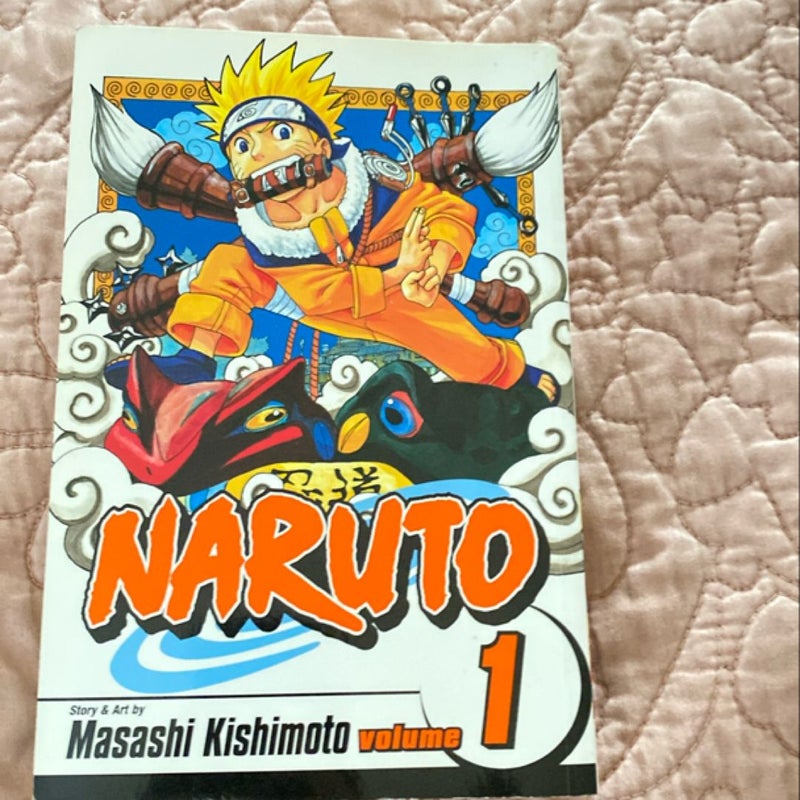 Naruto, Vol. 1