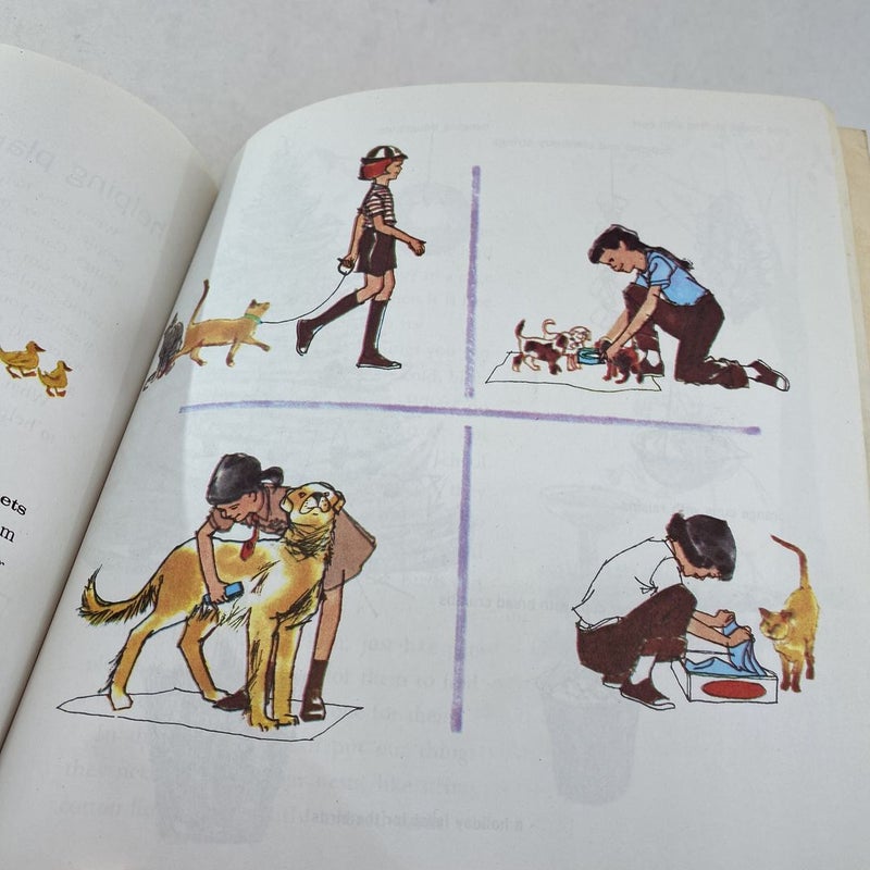 Brownie Girl Scout Handbook