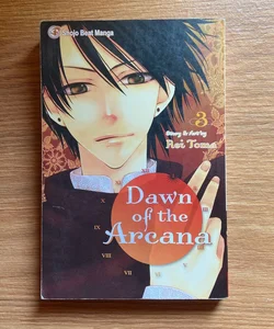 Dawn of the Arcana, Vol. 3