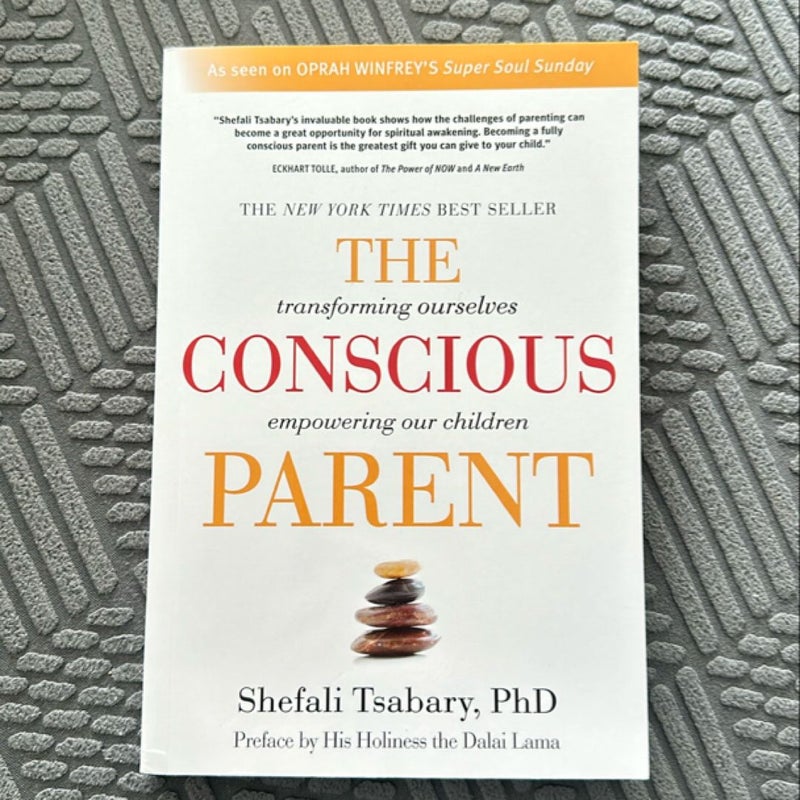 The Conscious Parent