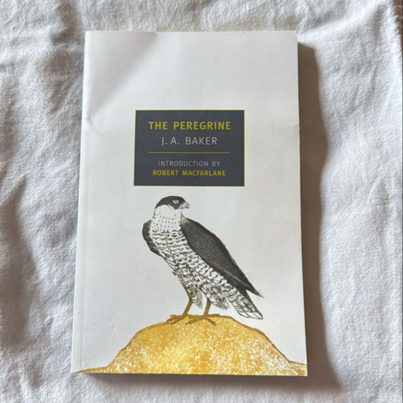 The Peregrine