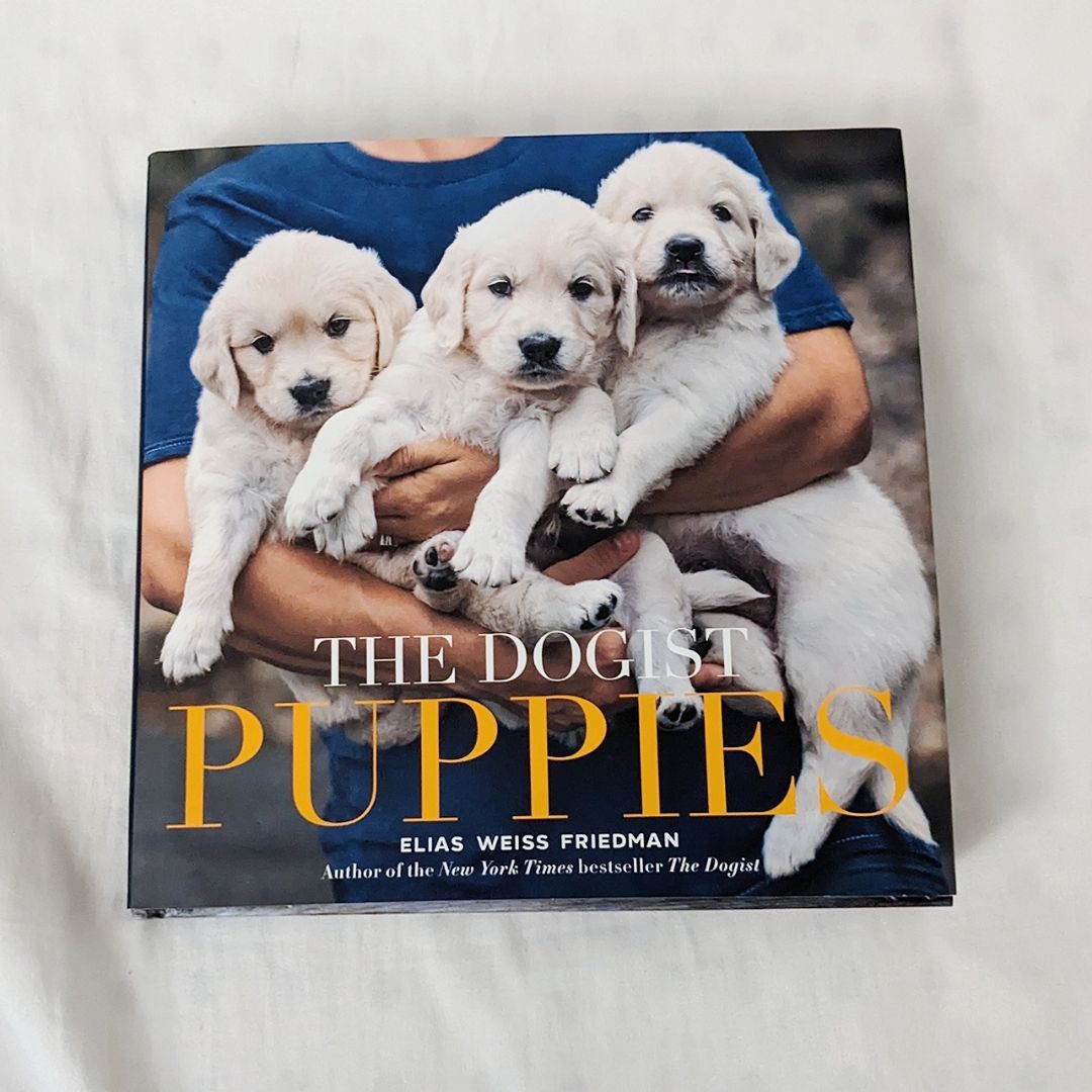 The Dogist Puppies
