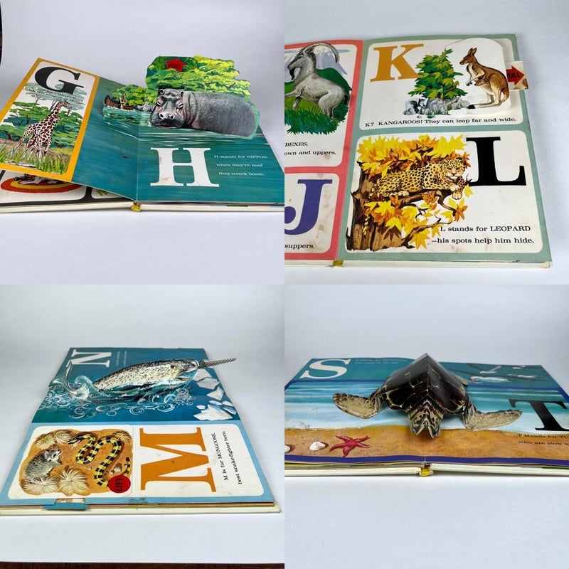 Pop-Up Animal-Alphabet Book
