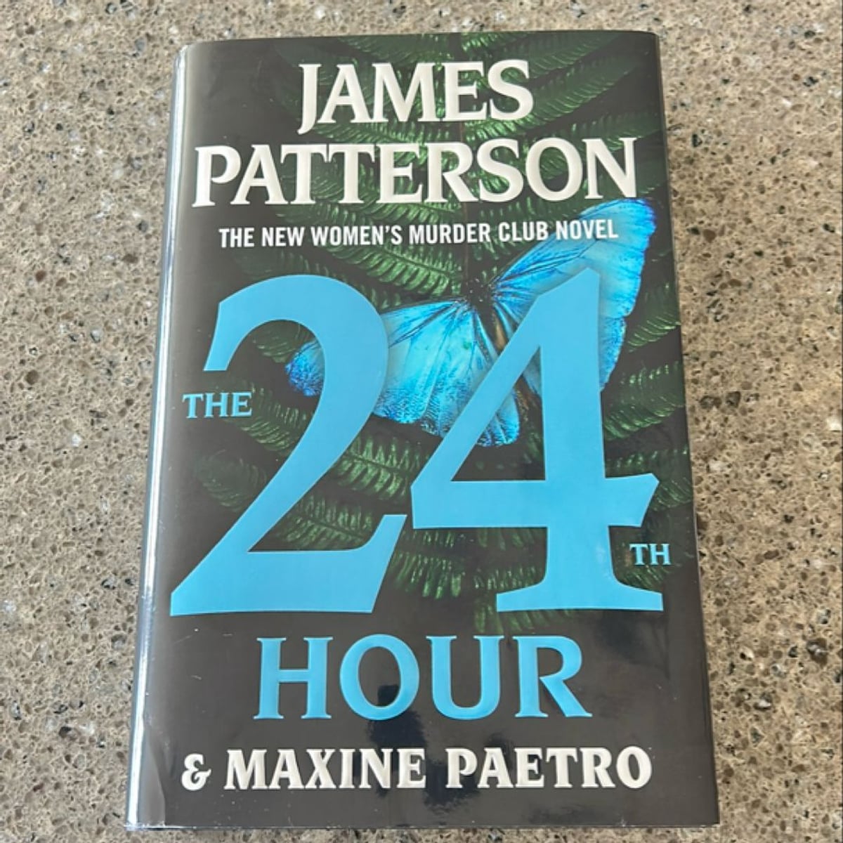 The 24th Hour by James Patterson, Maxine Paetro