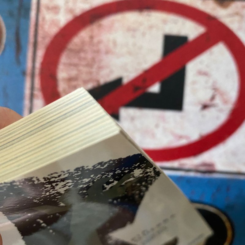 Y the Last Man Book Two