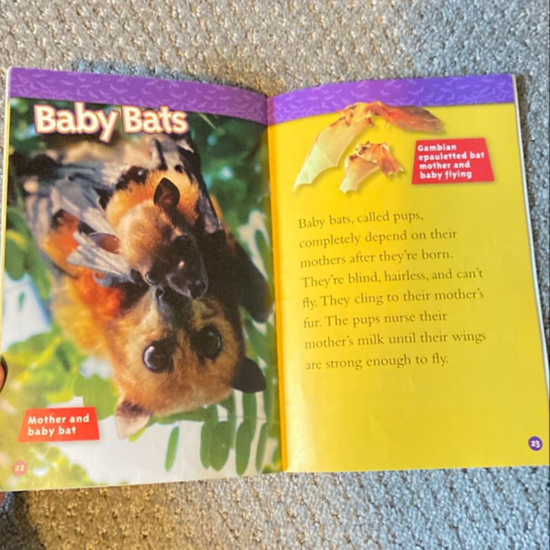 National Geographic Kids: Frogs, Lizards, Bats