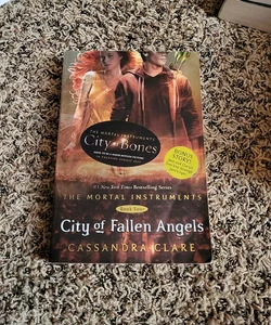 City of Fallen Angels