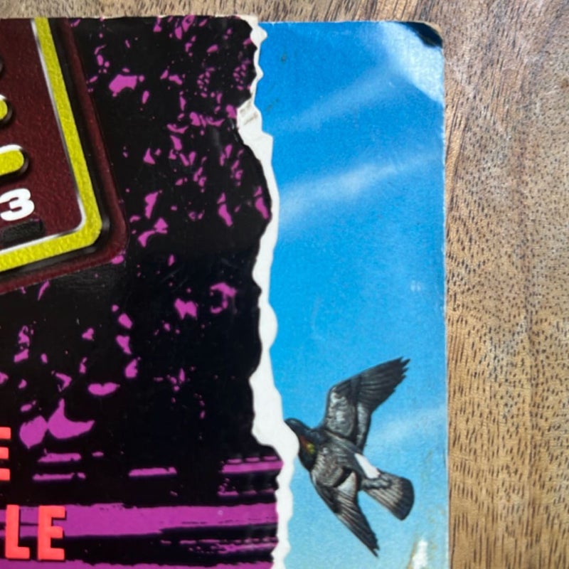 Eerie Indiana #3: the Eerie Triangle