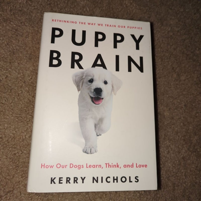 Puppy Brain