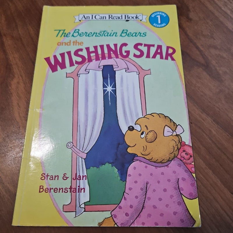 The Berenstain Bears and the Wishing Star, Disney Ballerina Princess Book Lot Childrens Bundle