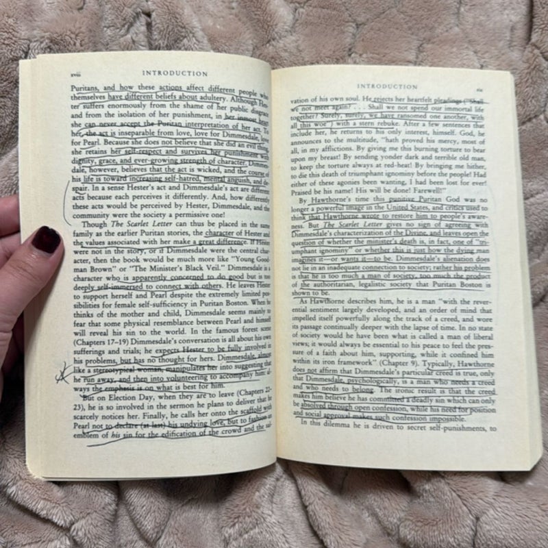 The Scarlet Letter