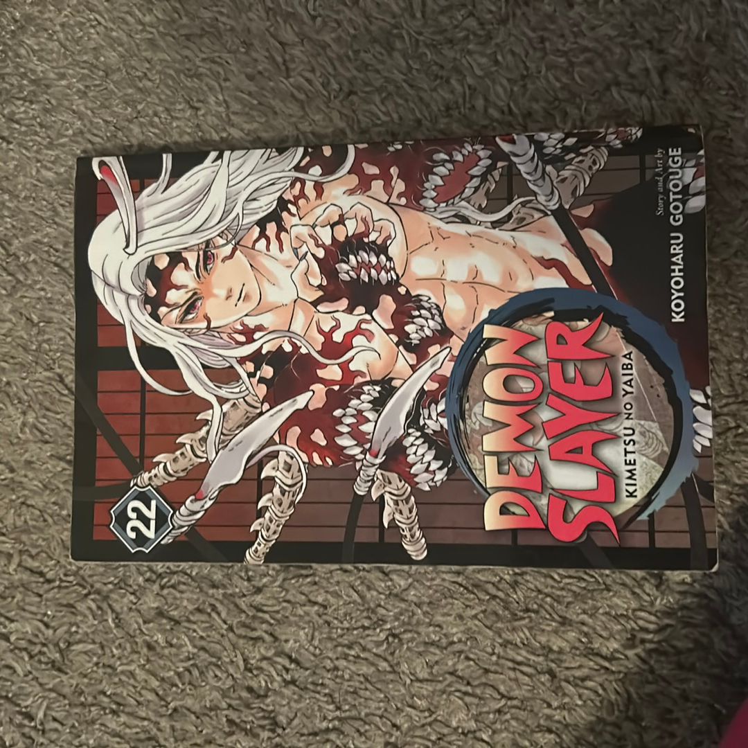 Demon Slayer: Kimetsu No Yaiba, Vol. 22