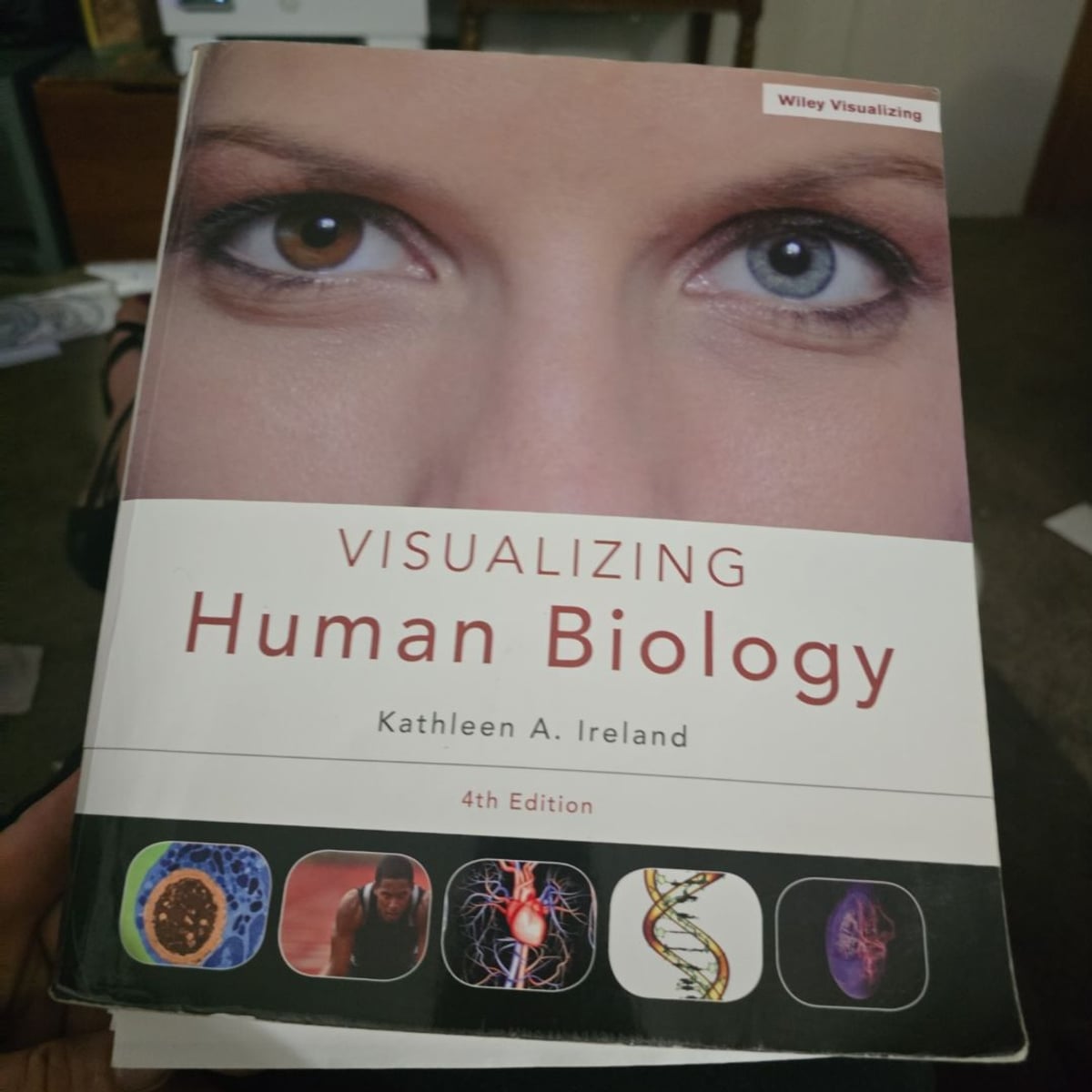 Visualizing Human Biology by Kathleen A. Ireland