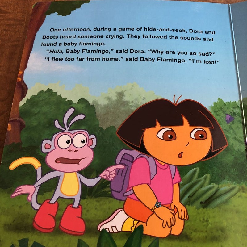 Dora the Explorer Search for Summer Lake