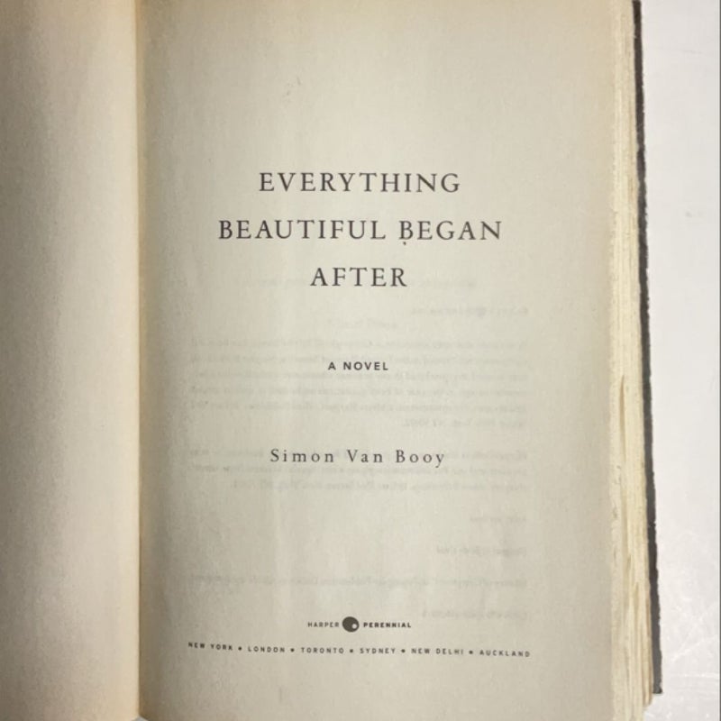 Everything Beautiful Began After