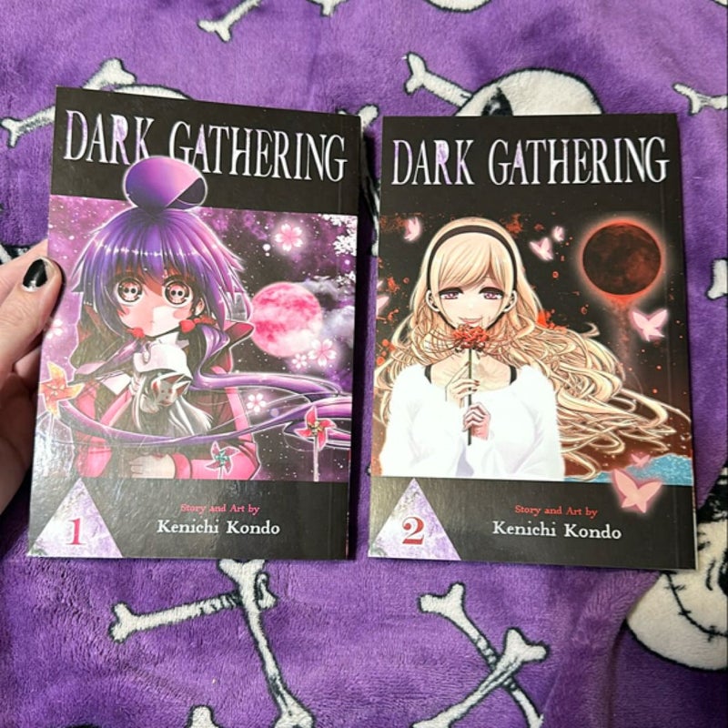 Dark Gathering, Vol. 1-6