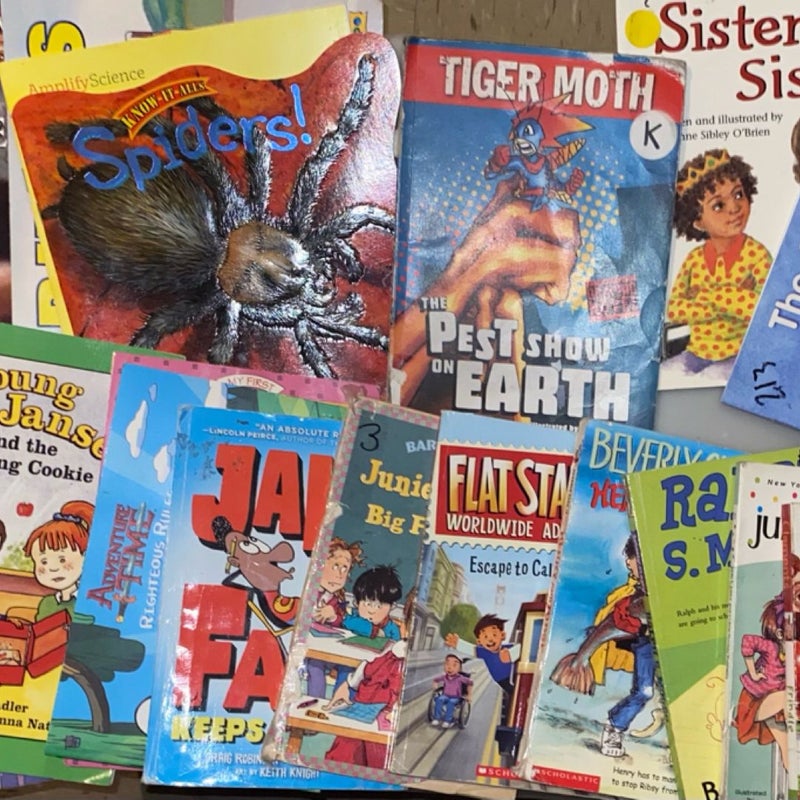 Kids book bundle featuring Junie B Jones, and Flat Stanley