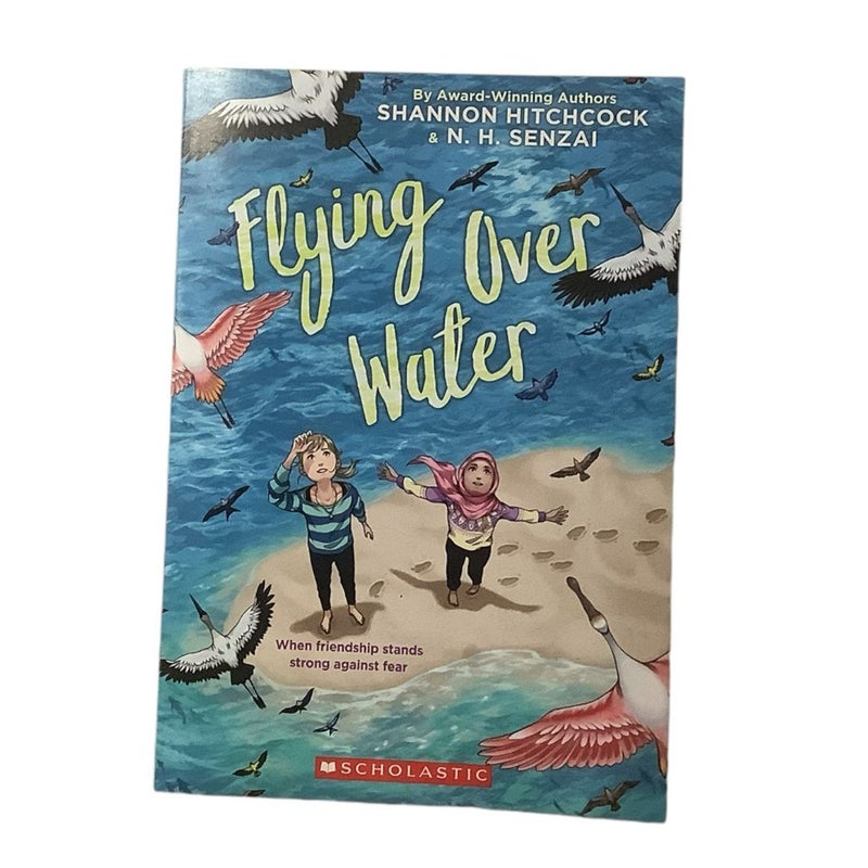 Flying Over Water