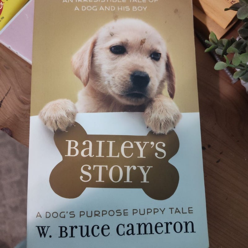 Bailey's Story