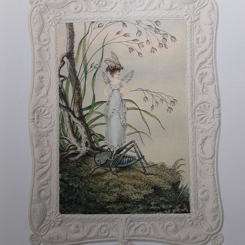 (First Edition) A Regency Lady's Faery Bower