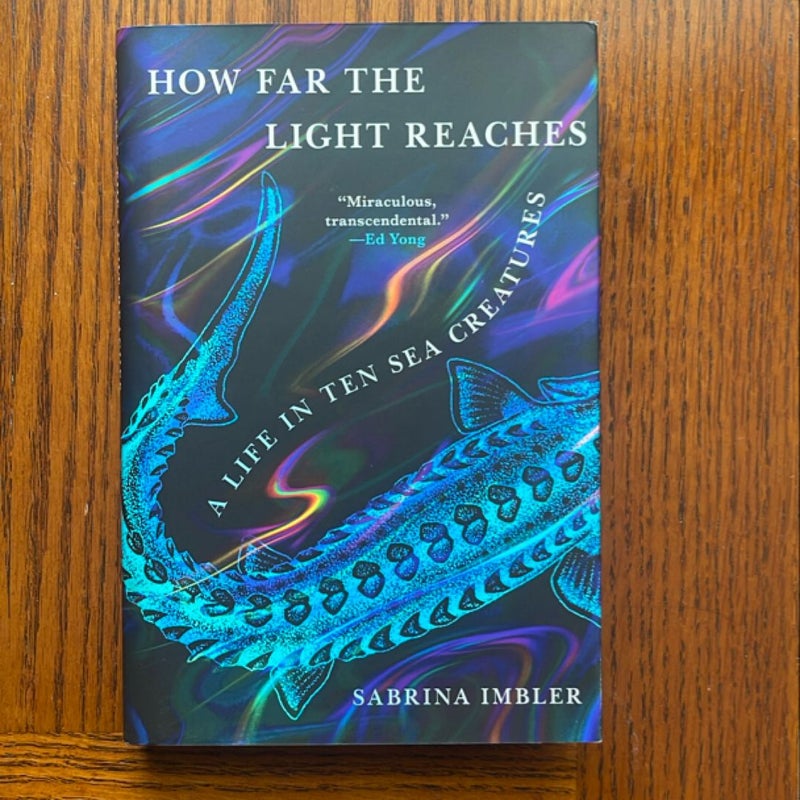 How Far the Light Reaches