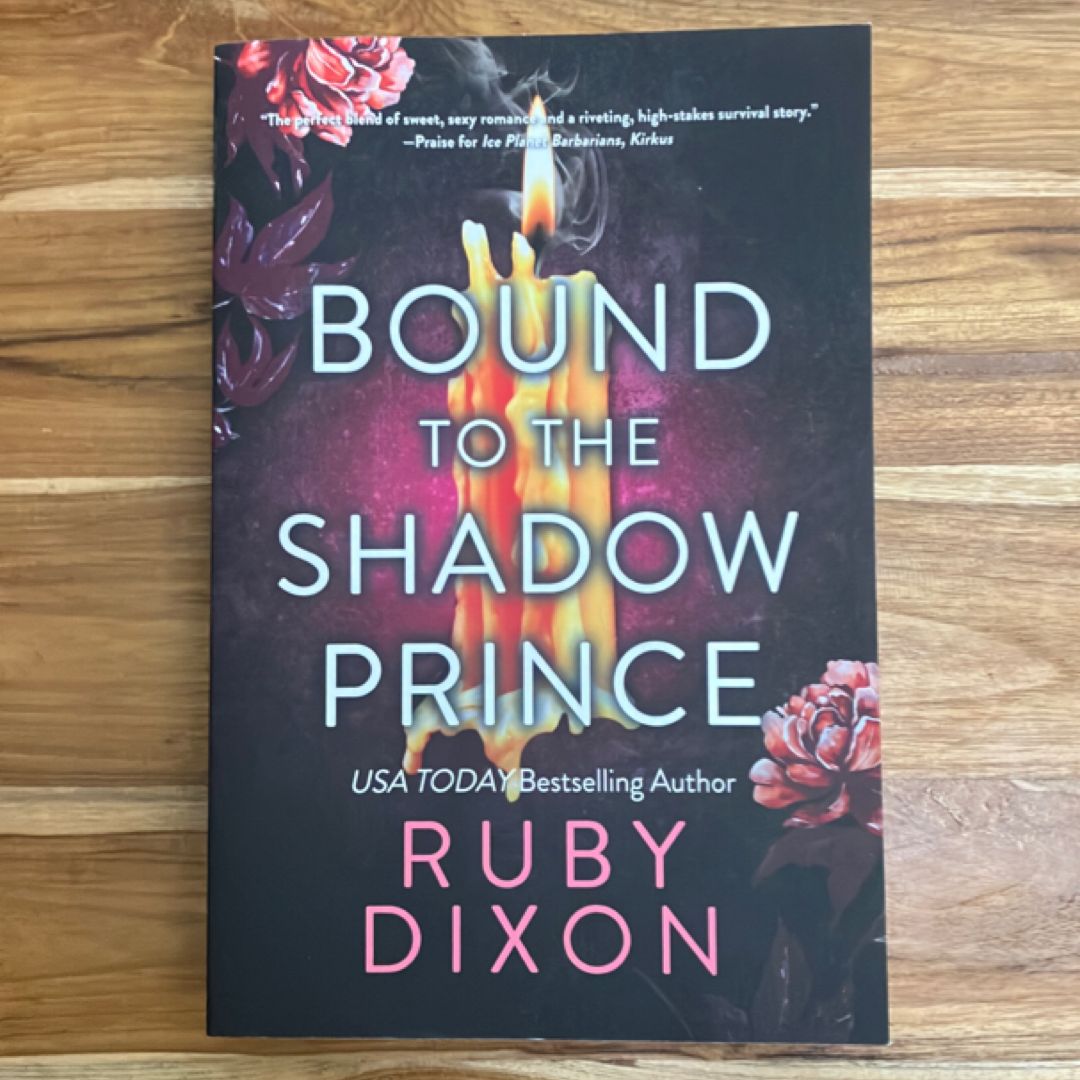 Bound to the Shadow Prince