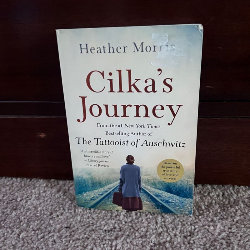 Cilka's Journey