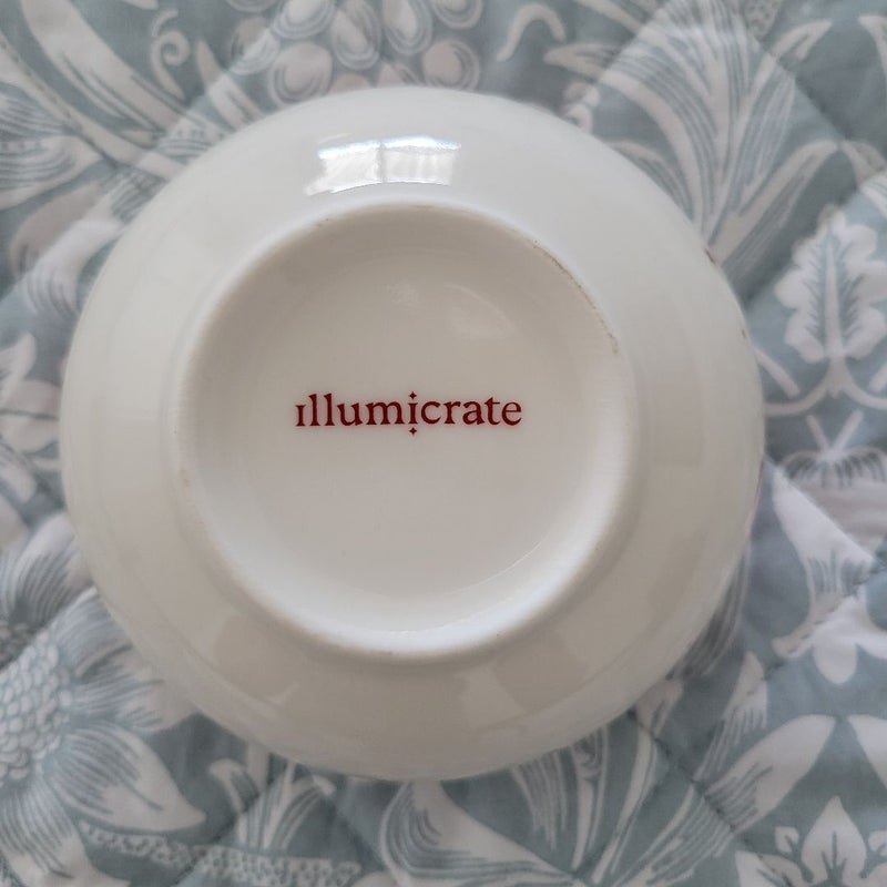 Illumicrate Silver Under Nightfall Snack Bowl