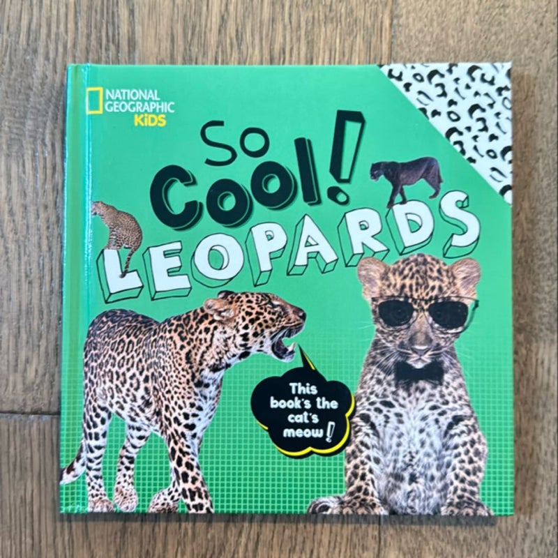 So Cool! Leopards