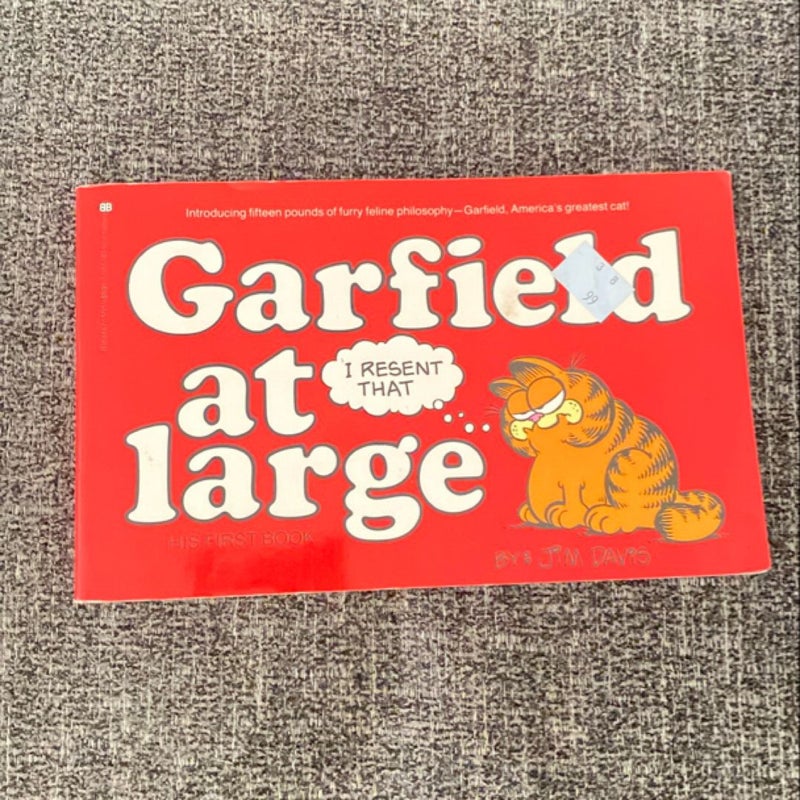 Garfield at Large