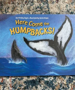 Here Come the Humpbacks!