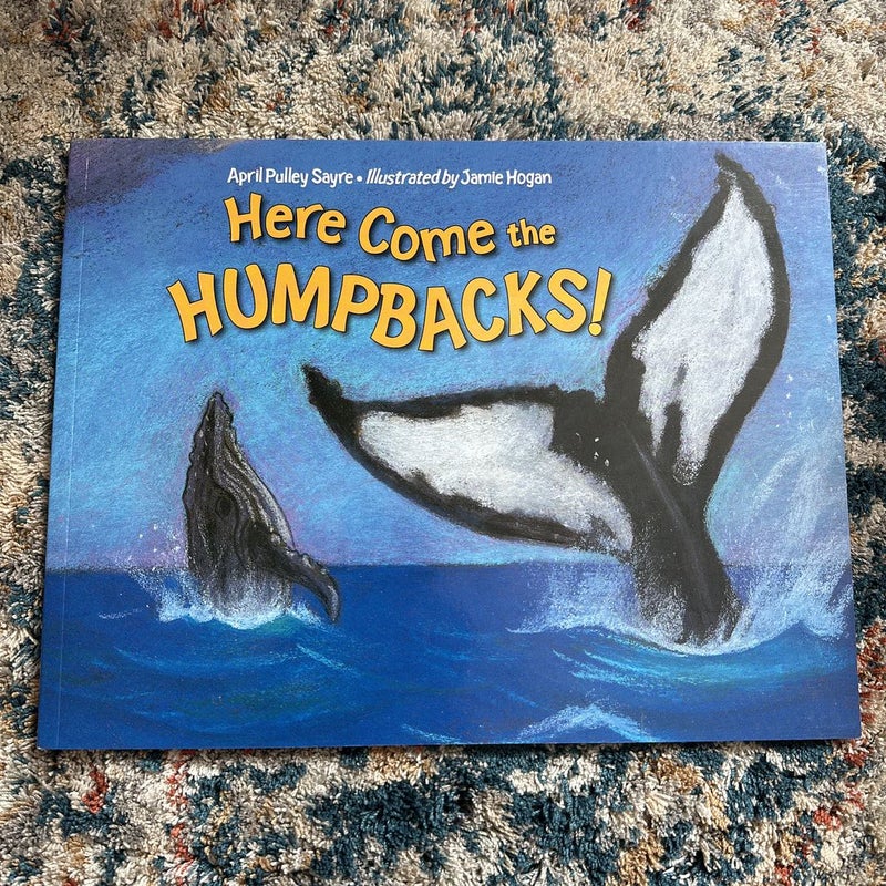 Here Come the Humpbacks!