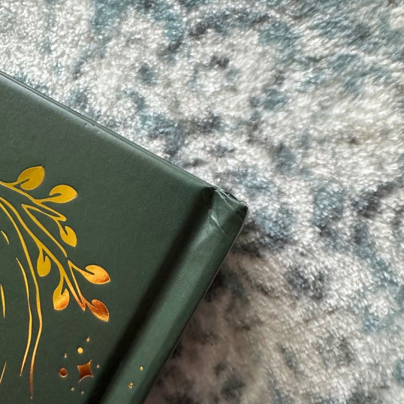 BOOKISH BOX Autumn's Tithe