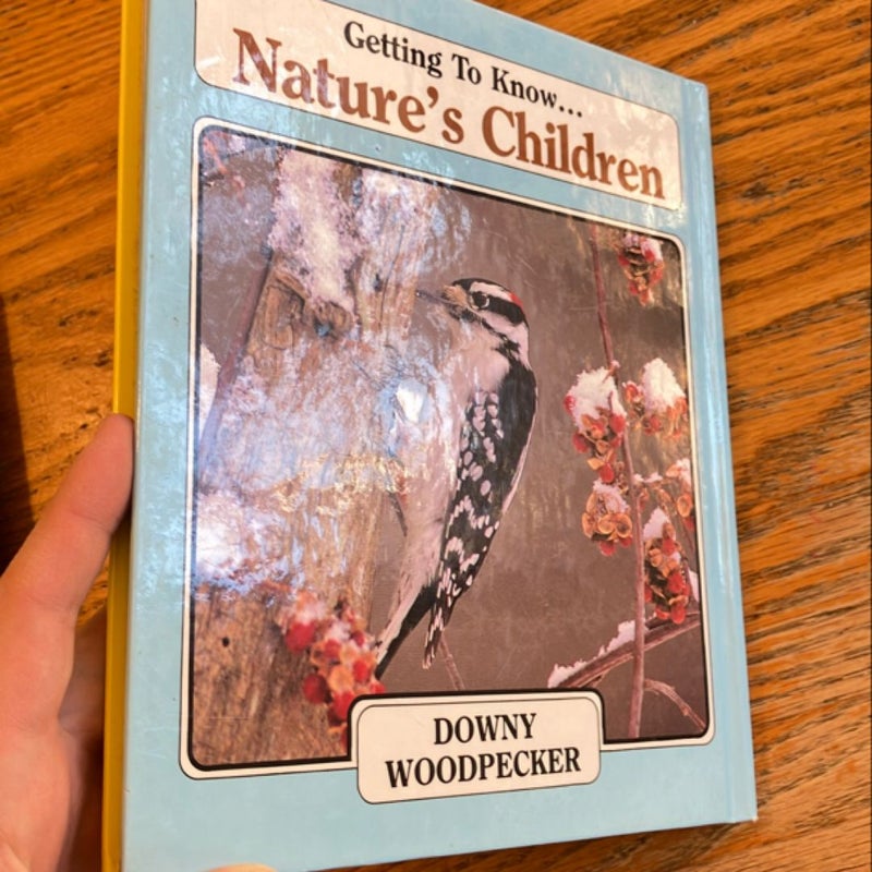 Getting to know nature‘s children moose and downy woodpecker 