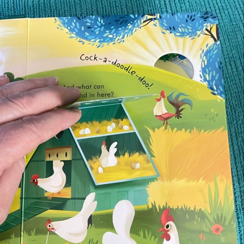 Usborne Peek Inside the Farm