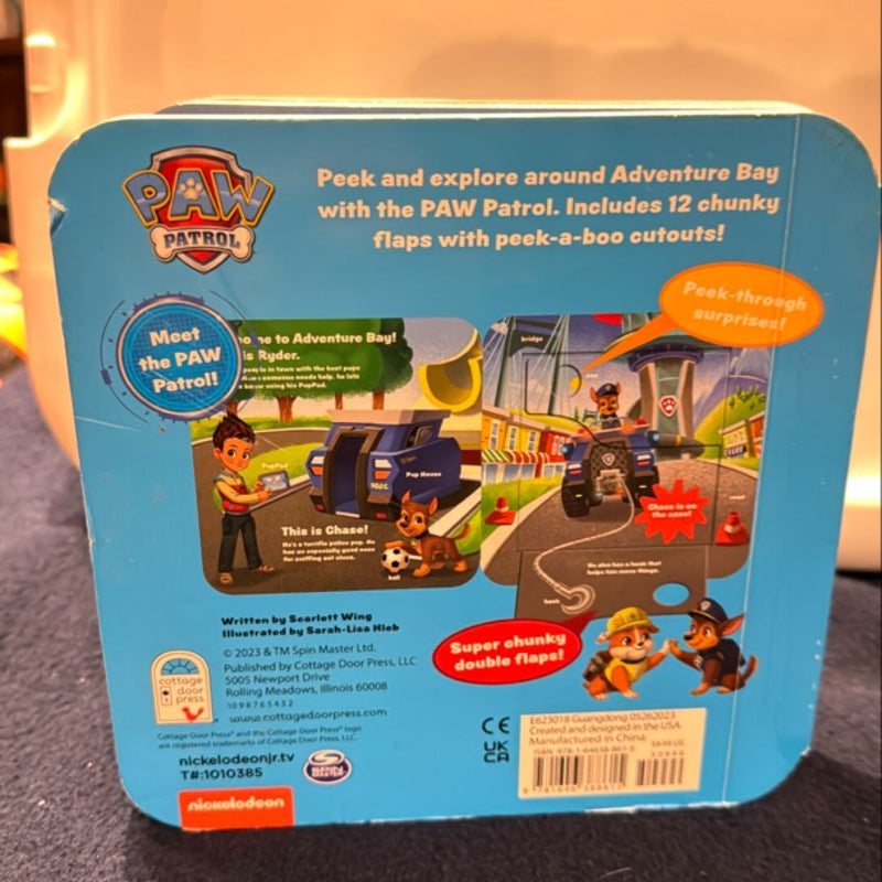 PAW Patrol Go, Pups, Go!