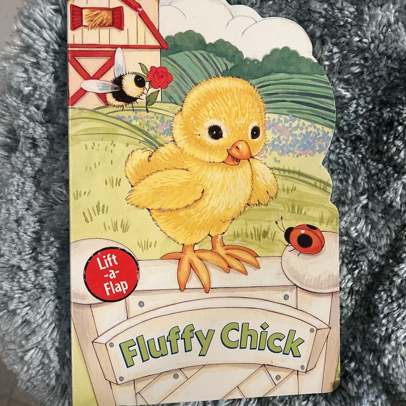 Fluffy chick 