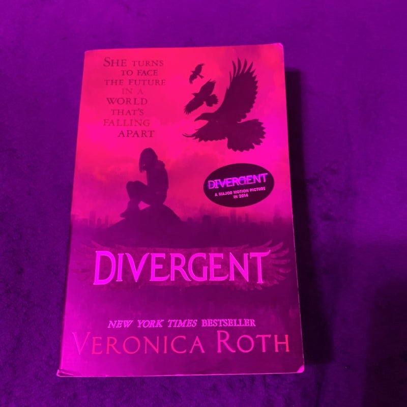 Divergent Series 