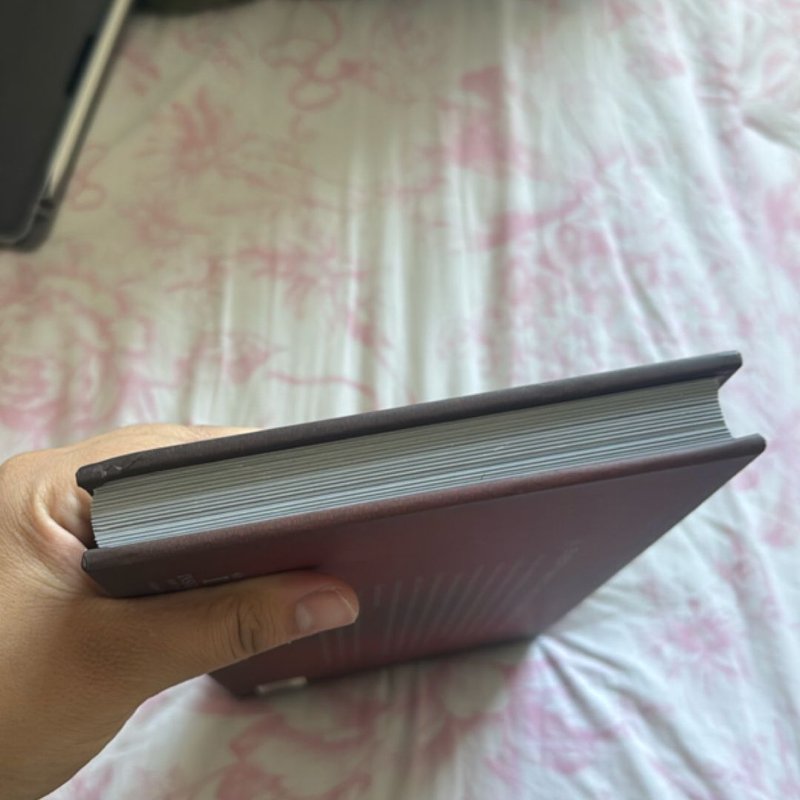 Harry Potter and Fantastic Beasts: the Wands of the Wizarding World